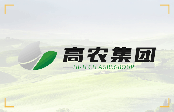 1fi18u7jl18n01rr7r BG大游(中国)唯一官方网站